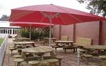 Showpiece Design Umbrellas